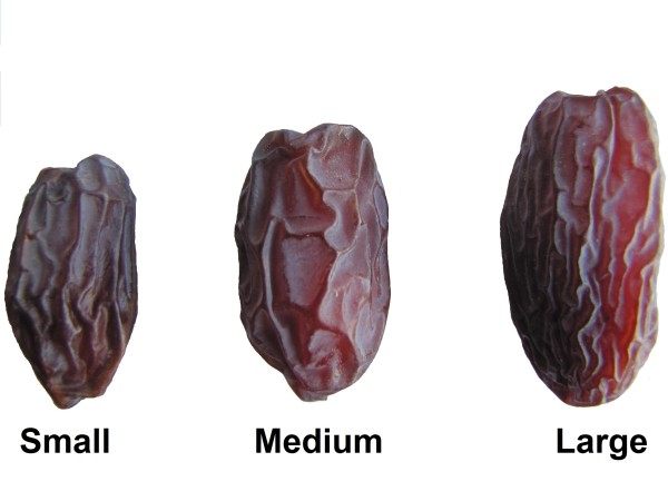 Dátil Medjoul 200g Eco